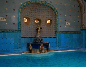blog 11