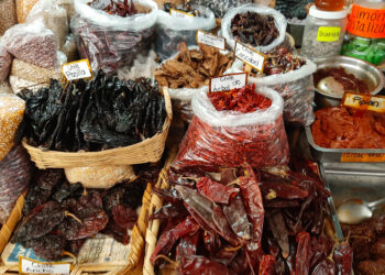 Enchiladas ed entomofagia nel mercato di San Juan Pugibet