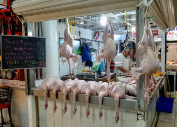 Enchiladas ed entomofagia nel mercato di San Juan Pugibet