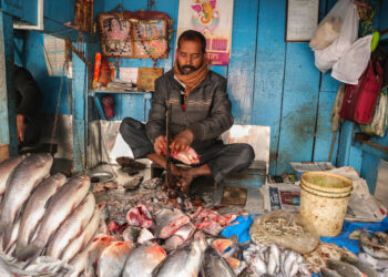 Pescherie a Darjeeling